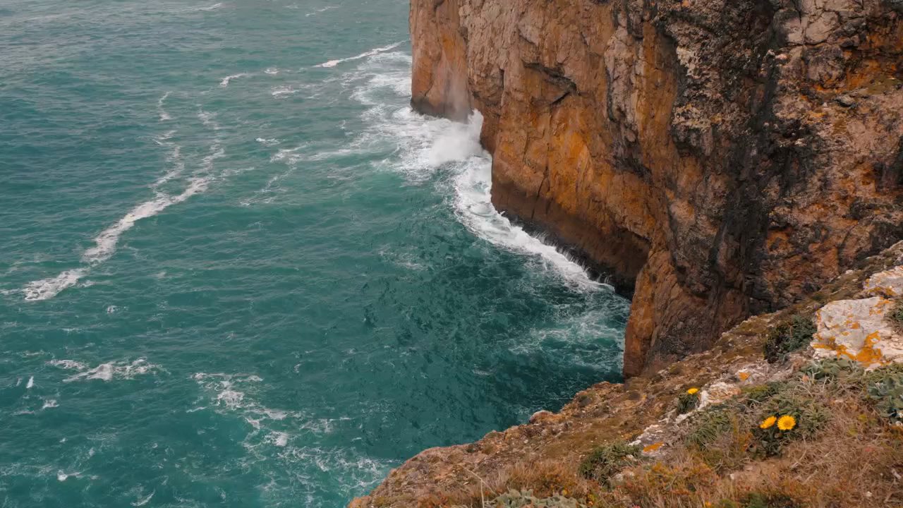 Las Orcas: Culturas y Secretos Ocultos del Océano