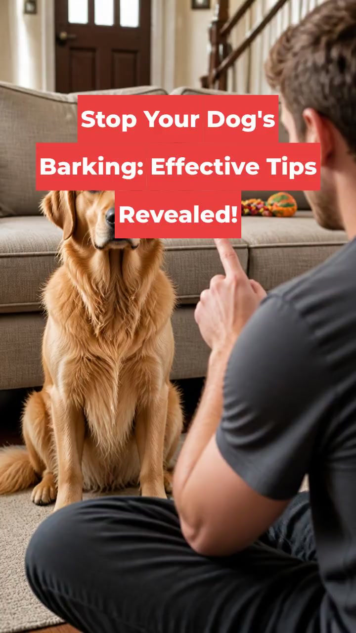 Stop Your Dog's Barking: Effective Tips Revealed!