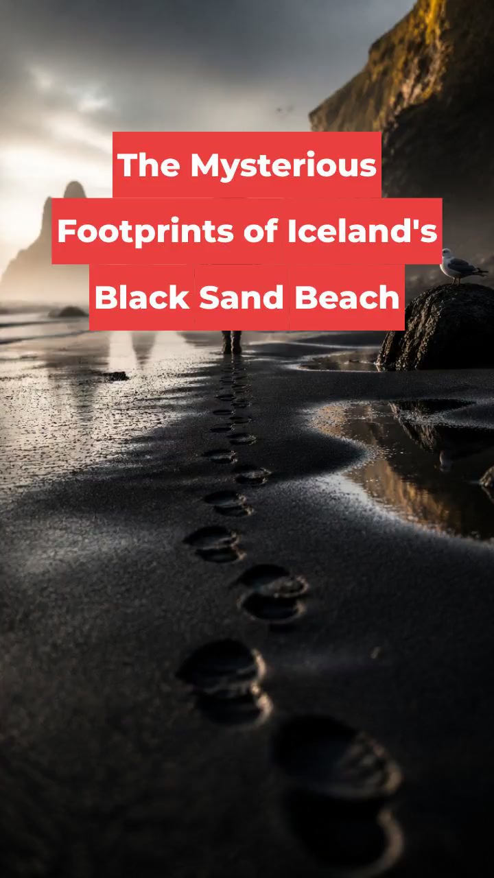 The Mysterious Footprints of Iceland's Black Sand Beach