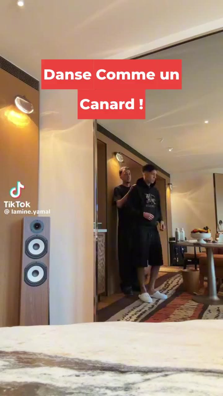 Danse Comme un Canard !