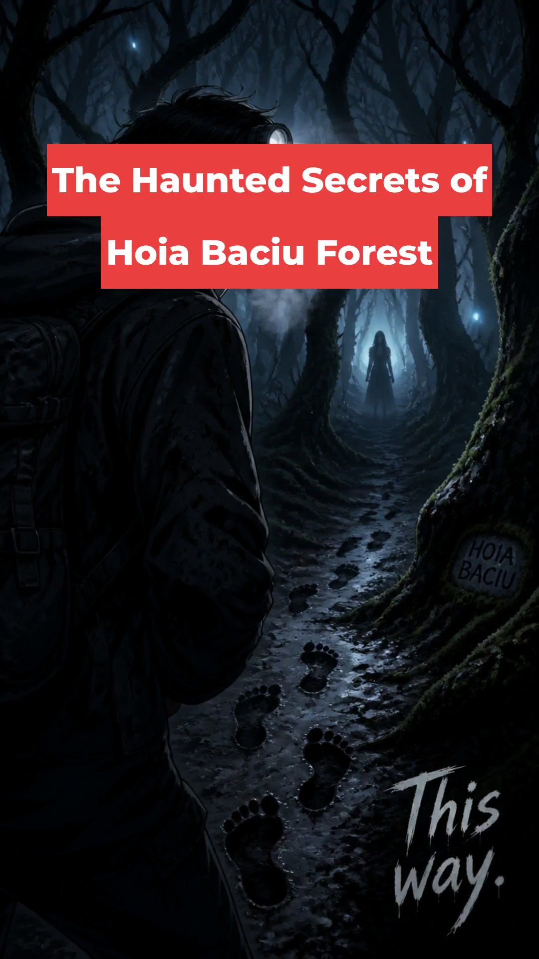 The Haunted Secrets of Hoia Baciu Forest