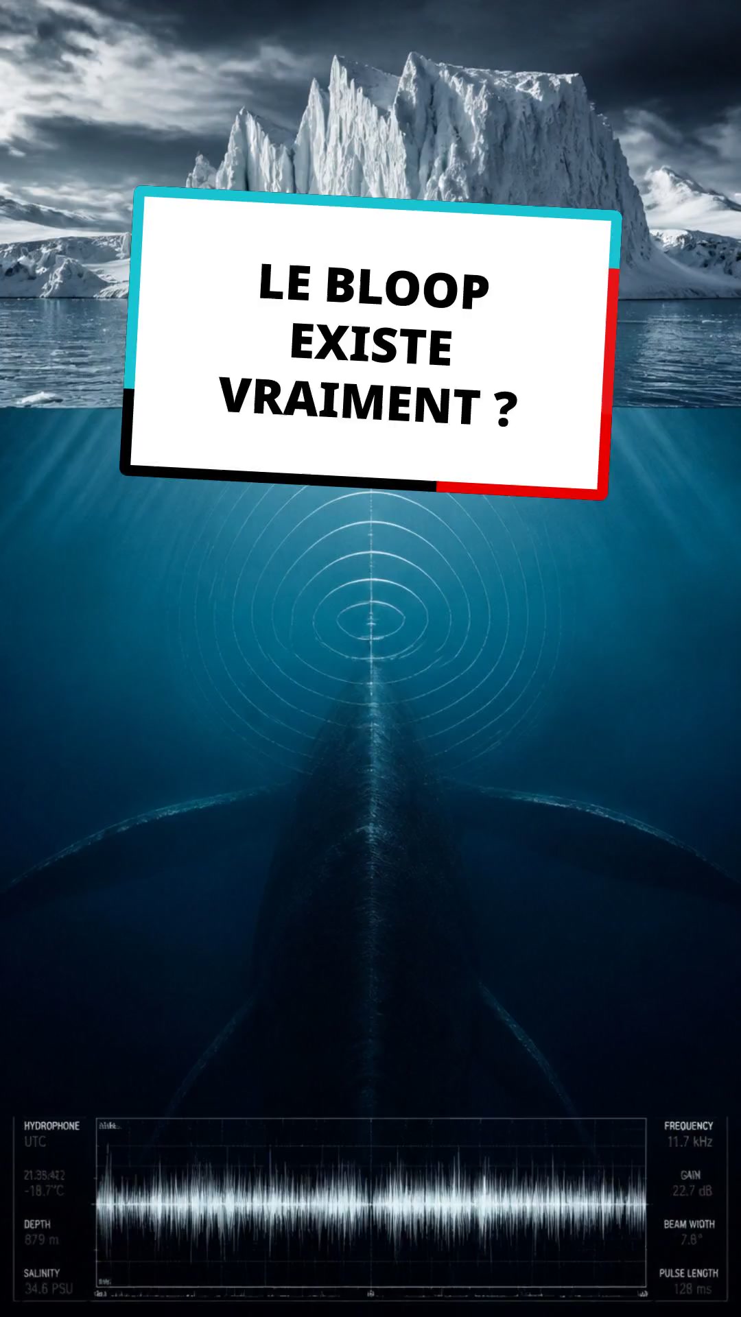 Le Mystère du Bloop : Monstre ou Iceberg ?