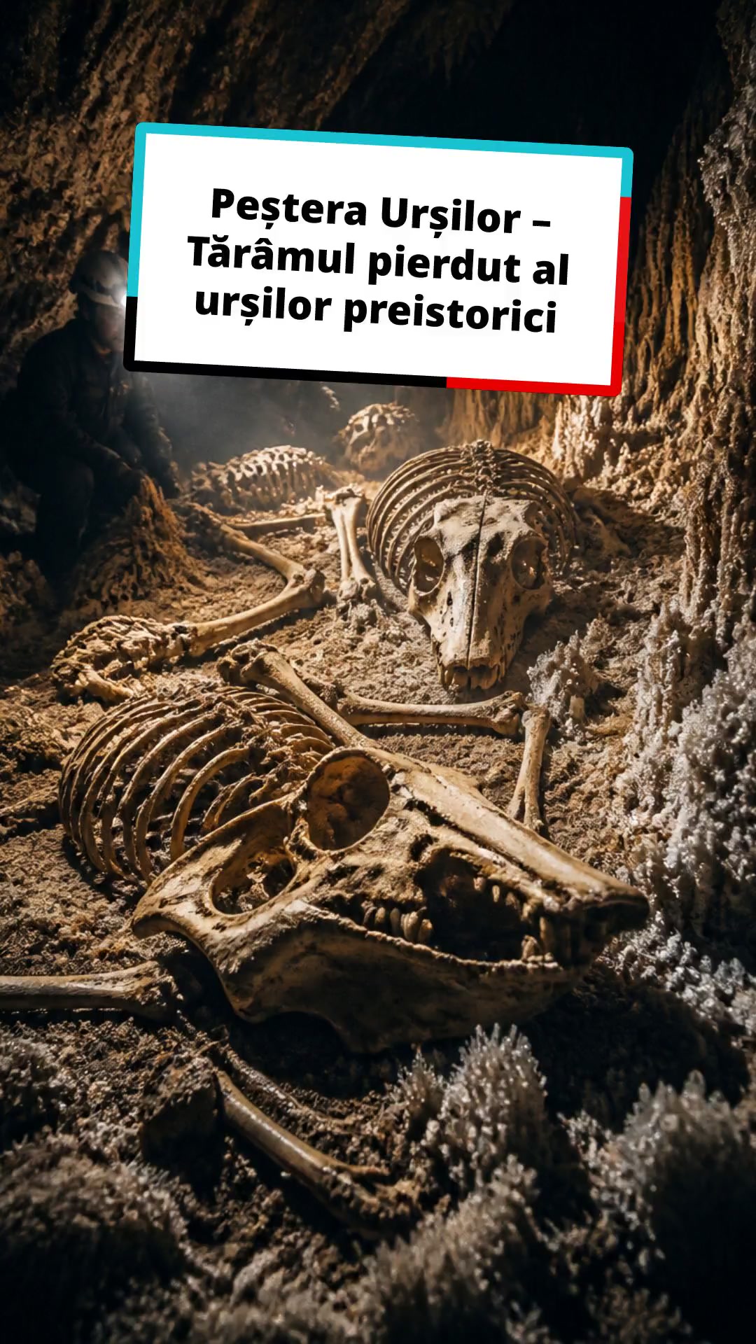 Secretele Peșterii Urșilor: O descoperire uluitoare!