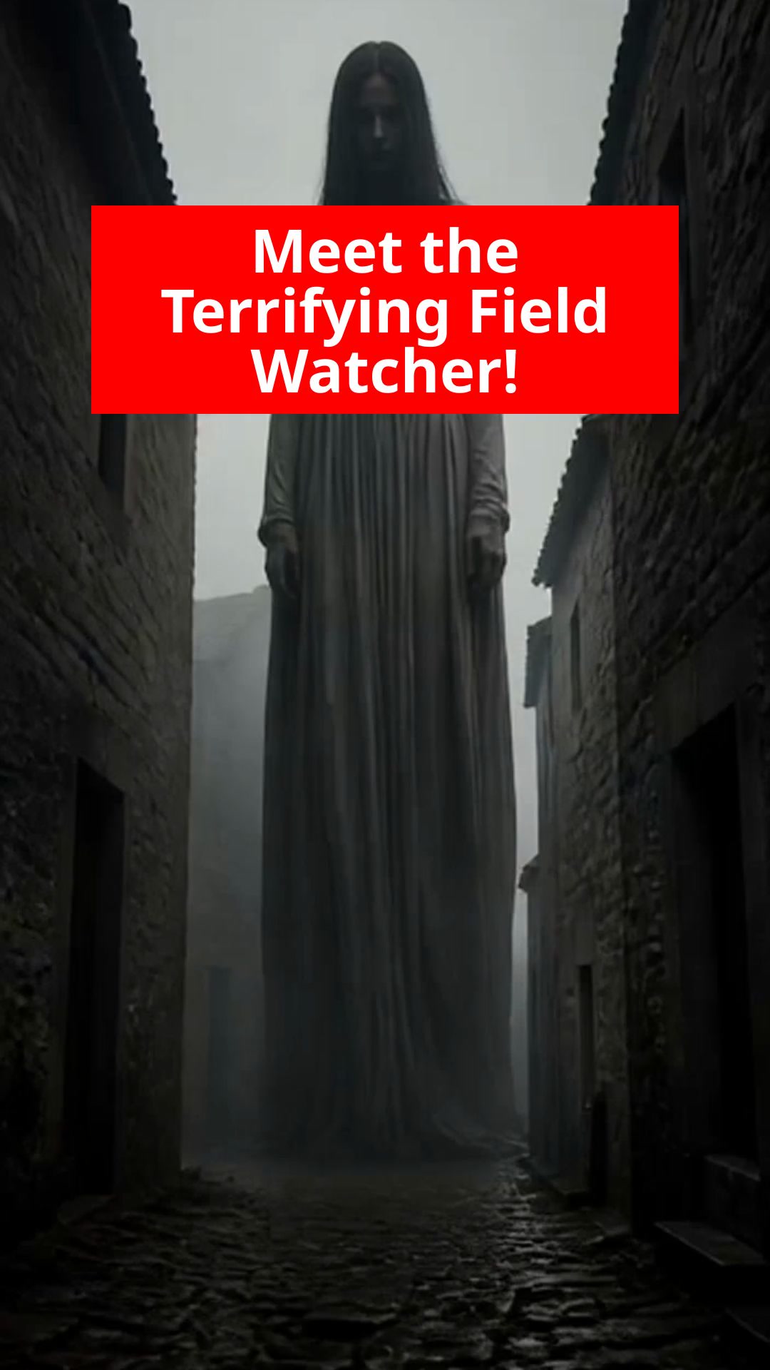 The Haunting Mystery of The Field Watcher