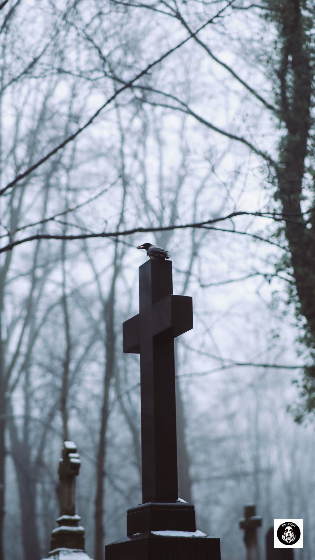 A Chilling Encounter: What My Son Saw in the Cemetery