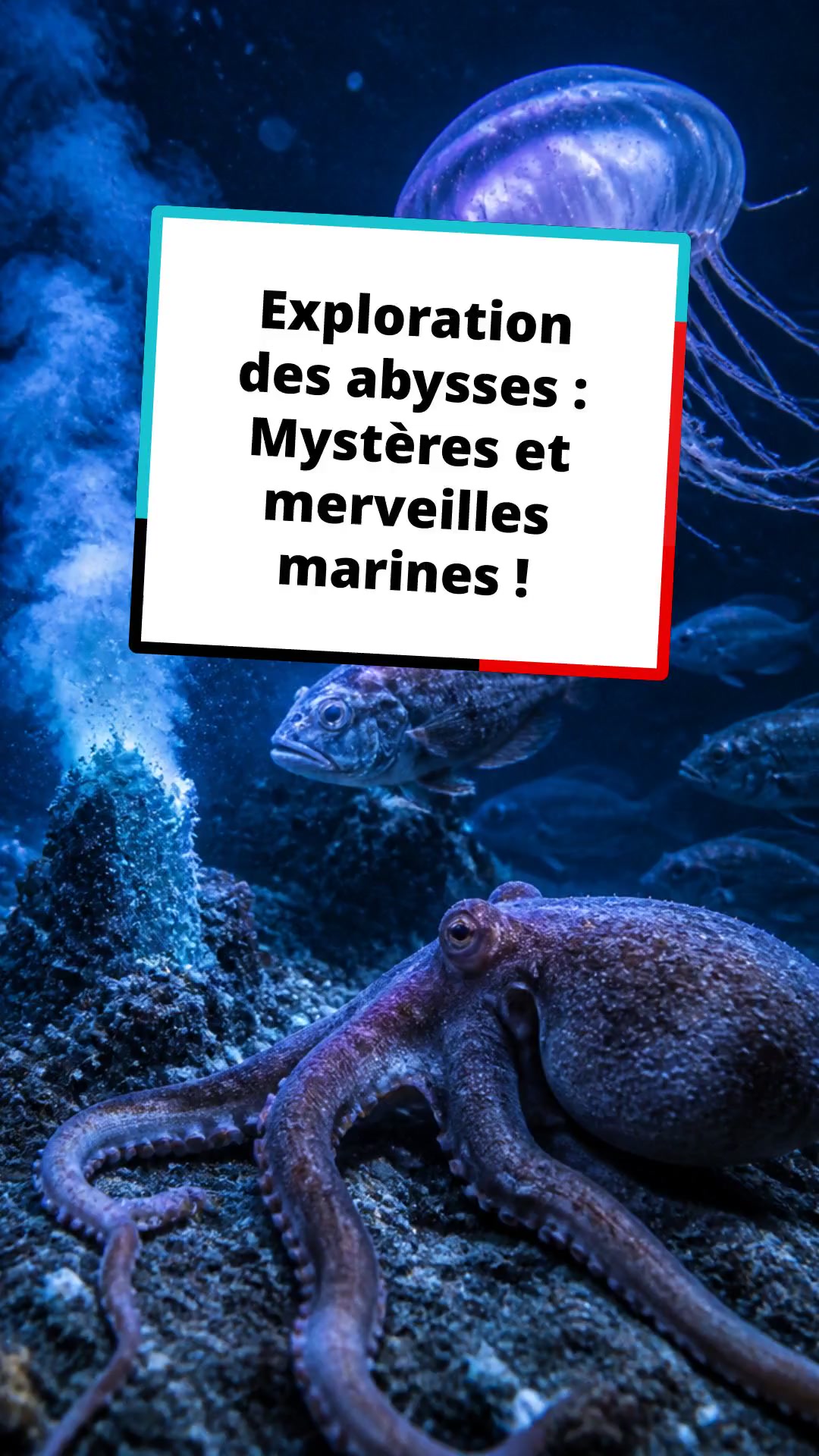 Exploration des abysses : Mystères et merveilles marines !