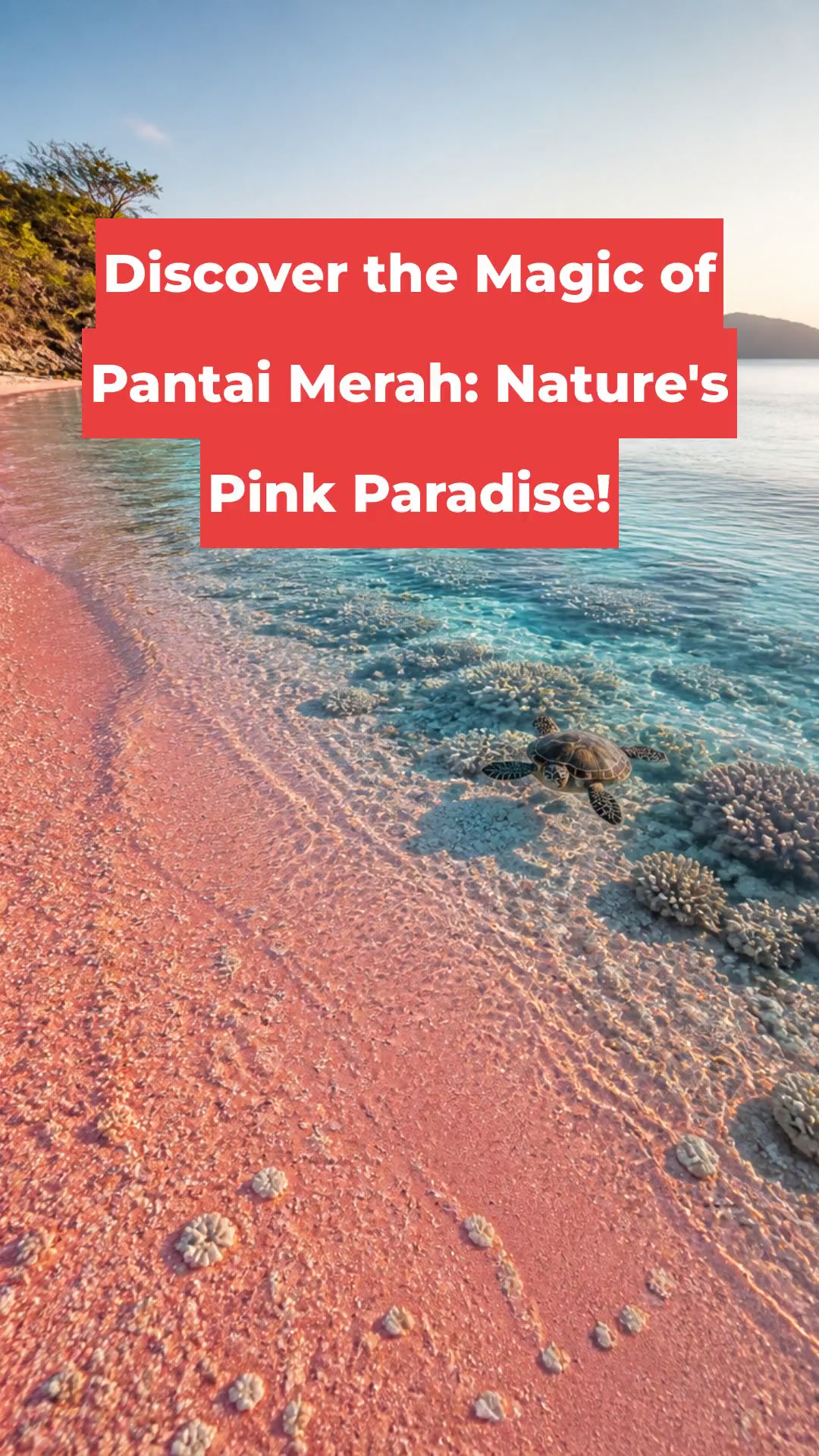 Discover the Magic of Pantai Merah: Nature's Pink Paradise!