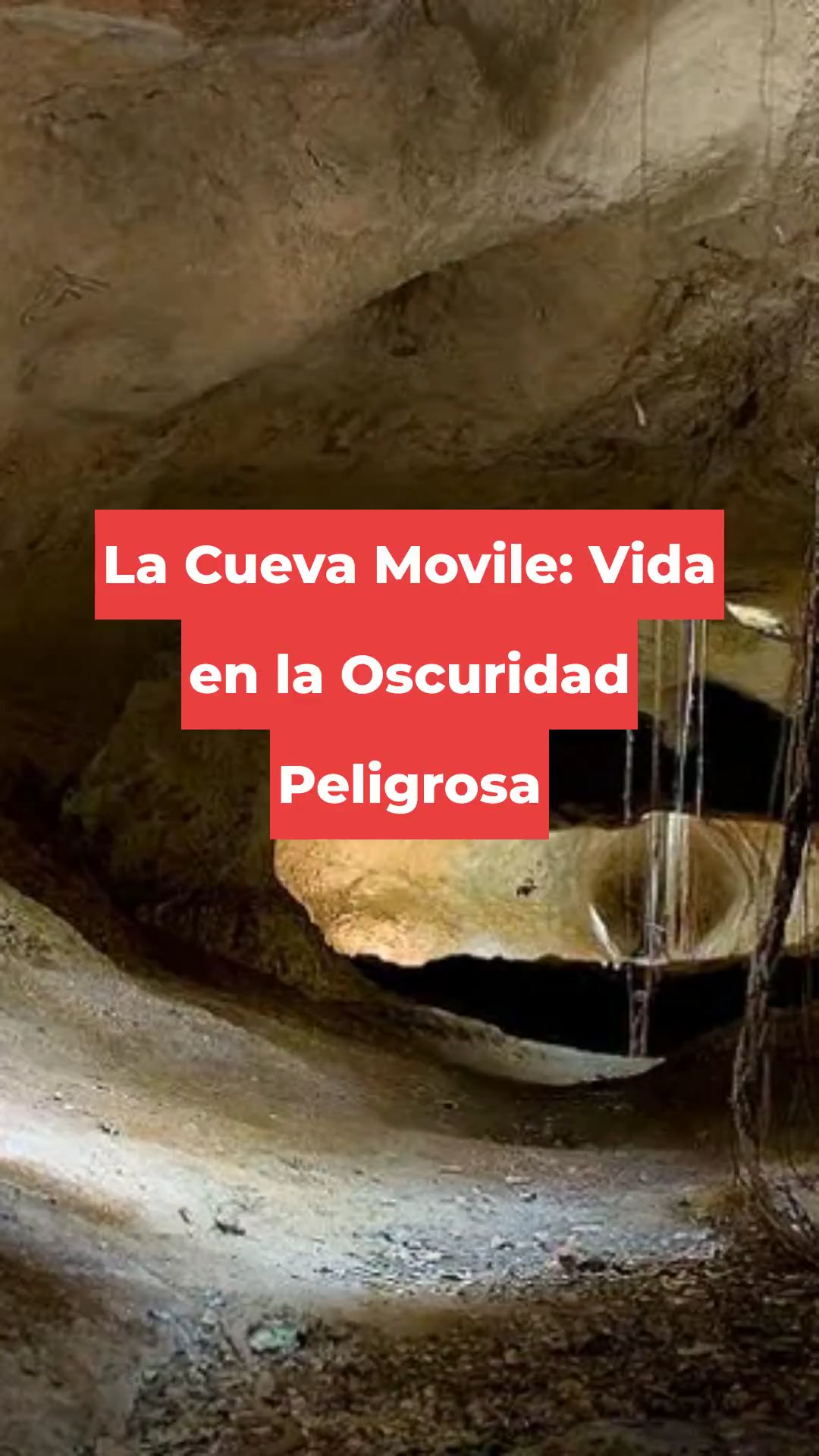 La Cueva Movile: Vida en la Oscuridad Peligrosa
