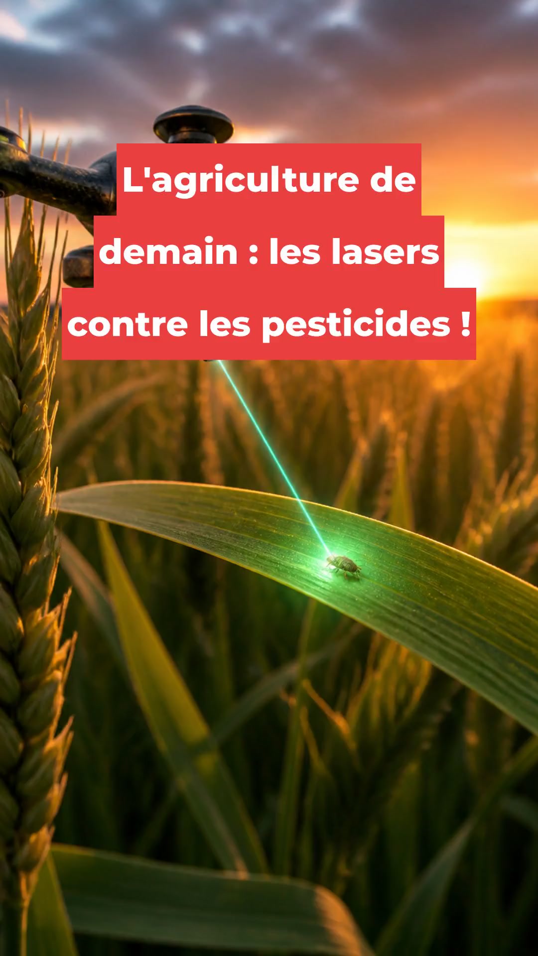 L'agriculture de demain : les lasers contre les pesticides !