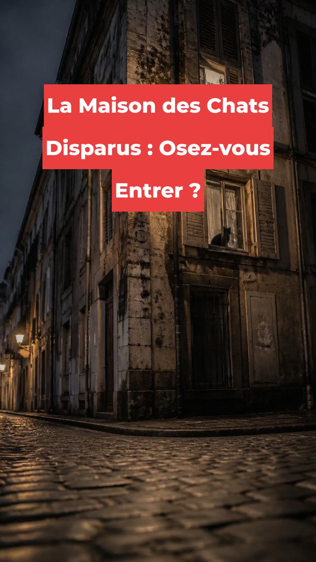 La Maison des Chats Disparus : Osez-vous Entrer ?