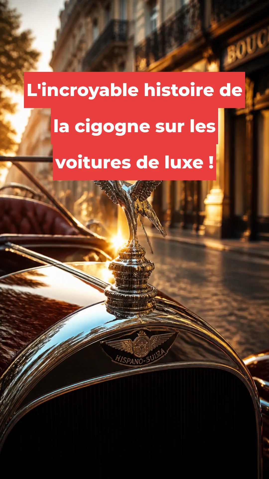 L'incroyable histoire de la cigogne sur les voitures de luxe !