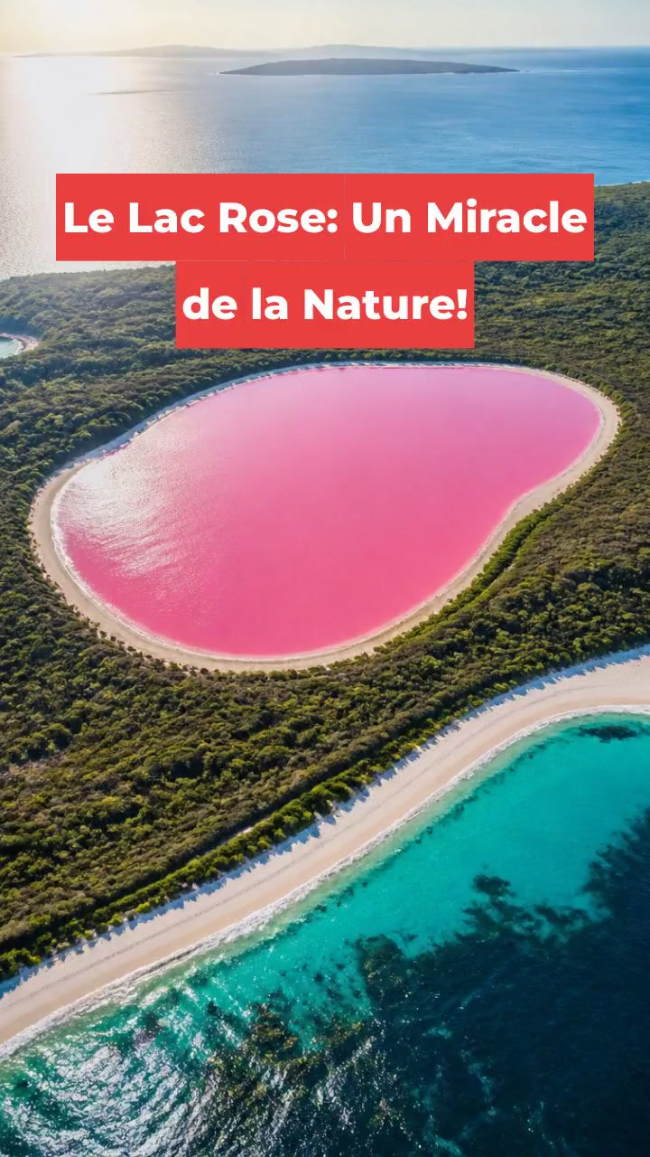 Le Lac Rose: Un Miracle de la Nature!