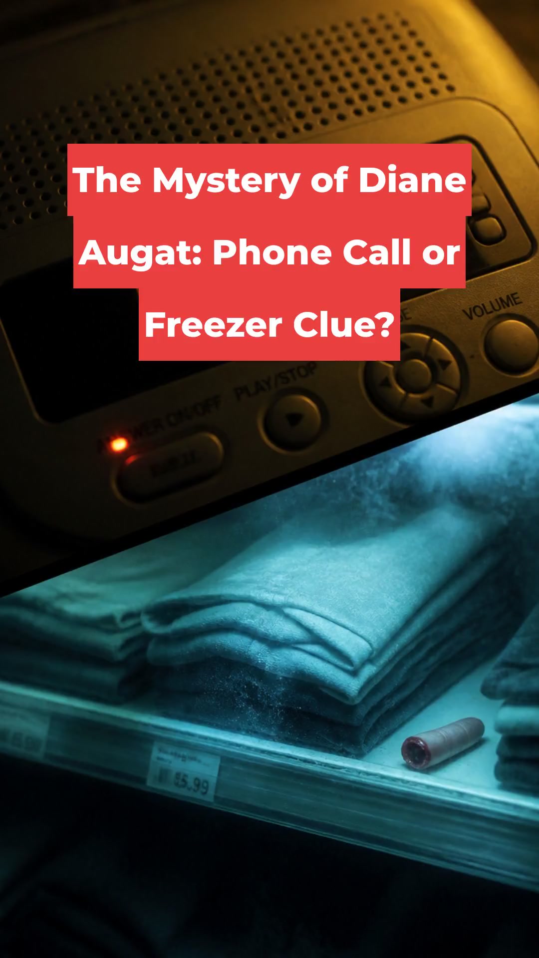 The Mystery of Diane Augat: Phone Call or Freezer Clue?
