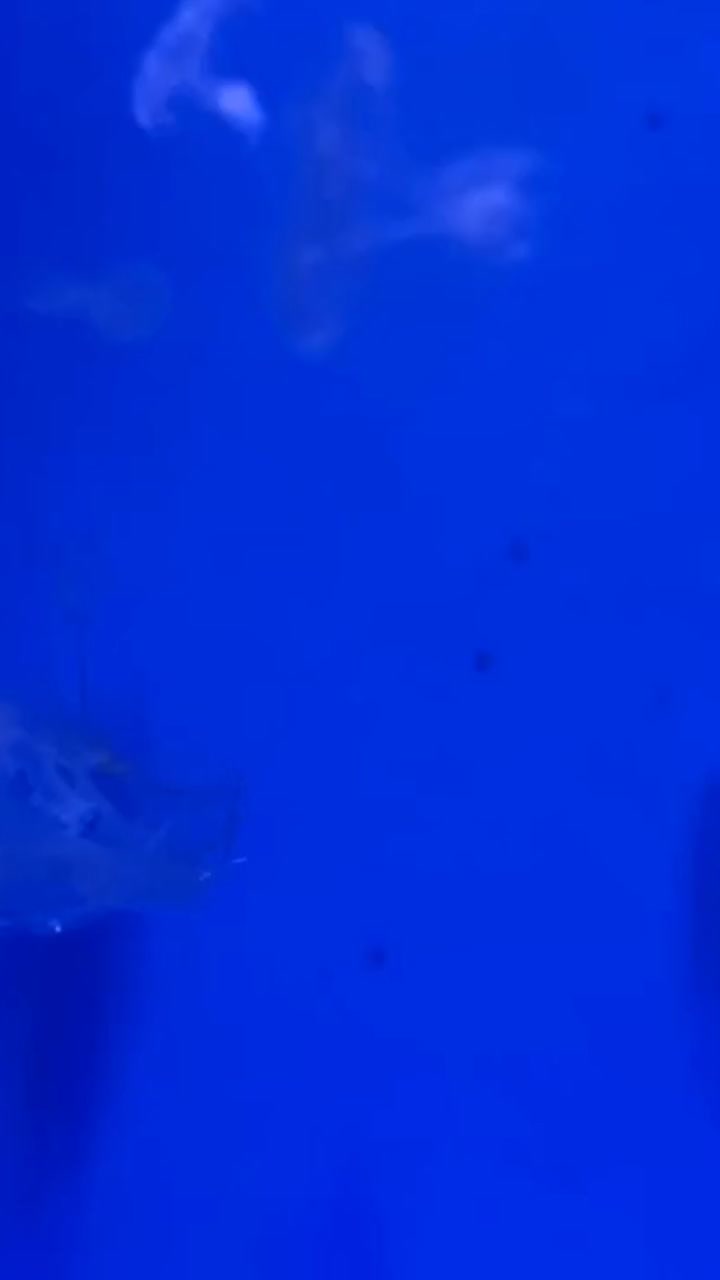 Amazing Animals That Defy Nature!