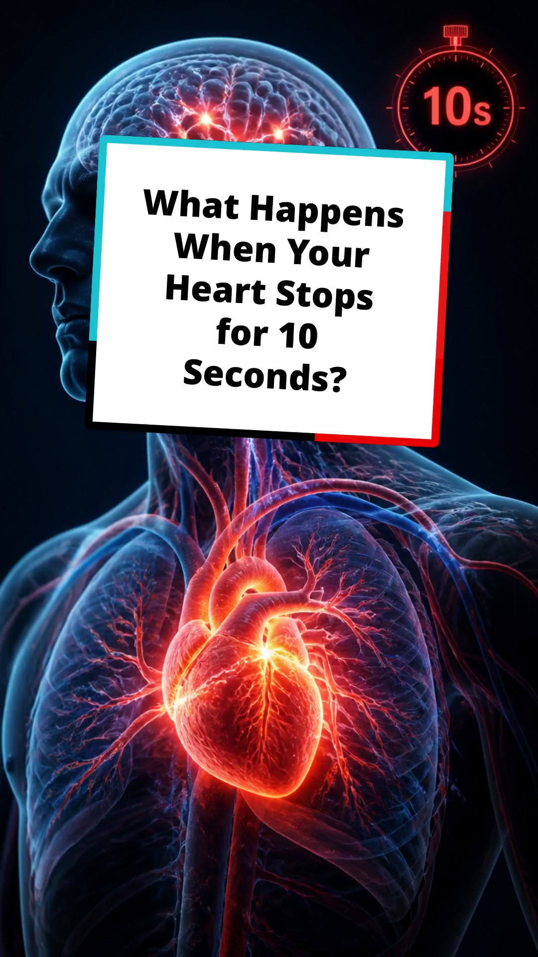 What Happens When Your Heart Stops for 10 Seconds?