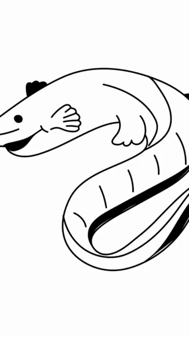 Animales Increíbles que Desafían la Naturaleza