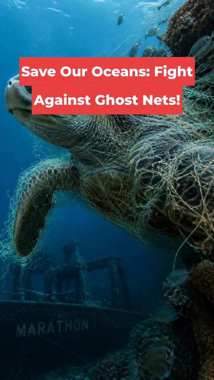 Save Our Oceans: Fight Against Ghost Nets!