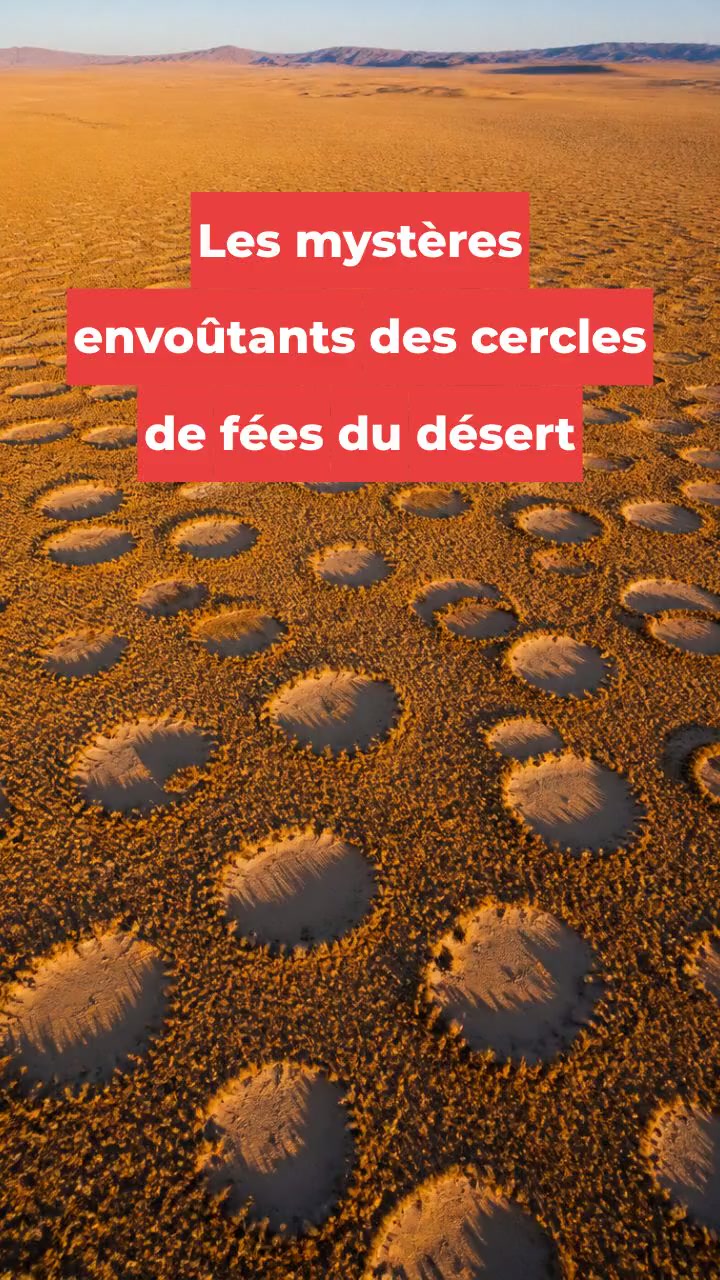Les mystères envoûtants des cercles de fées du désert