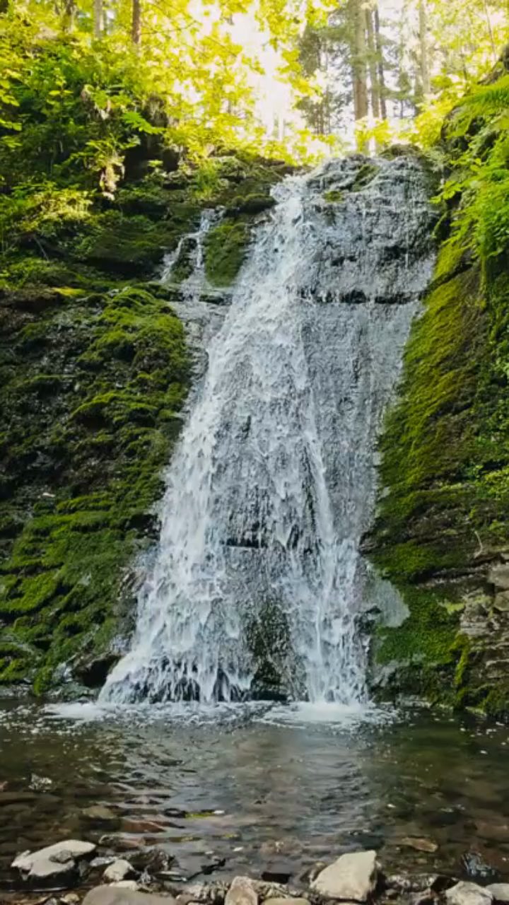 The Mystery of Devil's Kettle Revealed!