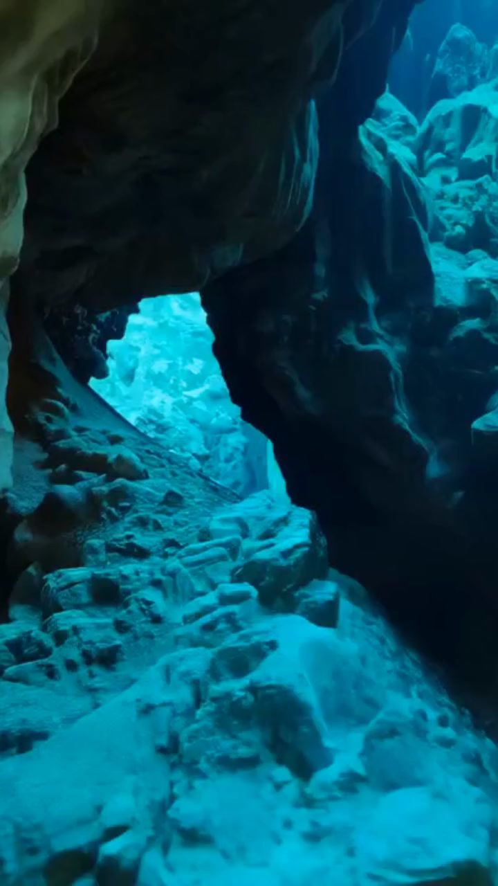 Dive Into the Enigmatic Cenote Angelita!