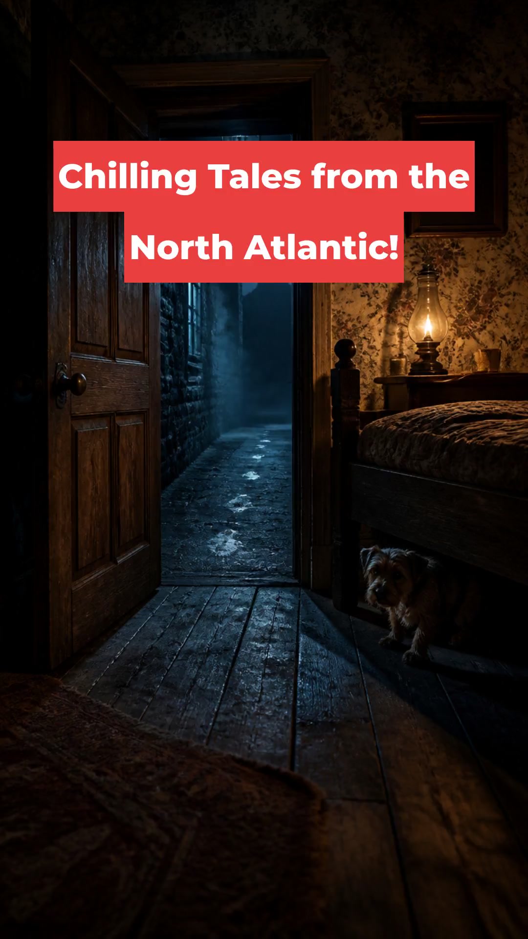 Chilling Tales from the North Atlantic!