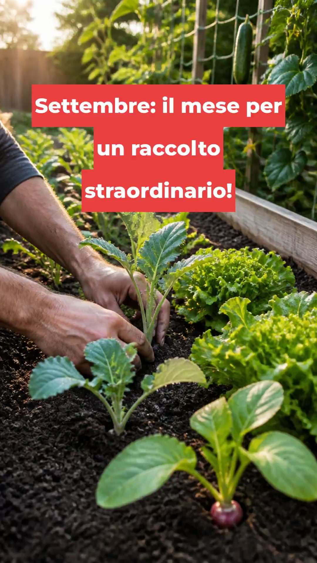 Settembre: il mese per un raccolto straordinario!